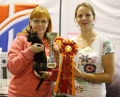 �������� ����� 20-21 �������� 2014 WCF-����� 6-232-169A1135 copy.jpg